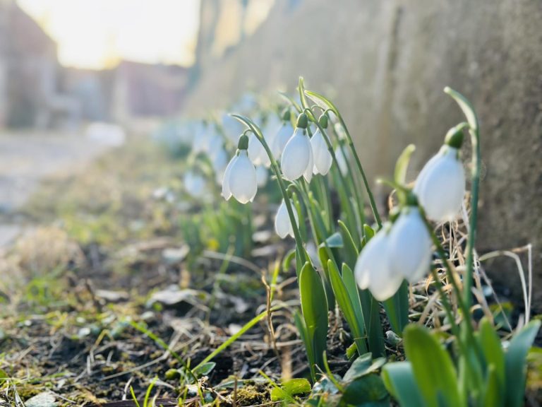 Cum va fi vremea în următoarele două săptămâni. Anunțul transmis de ANM