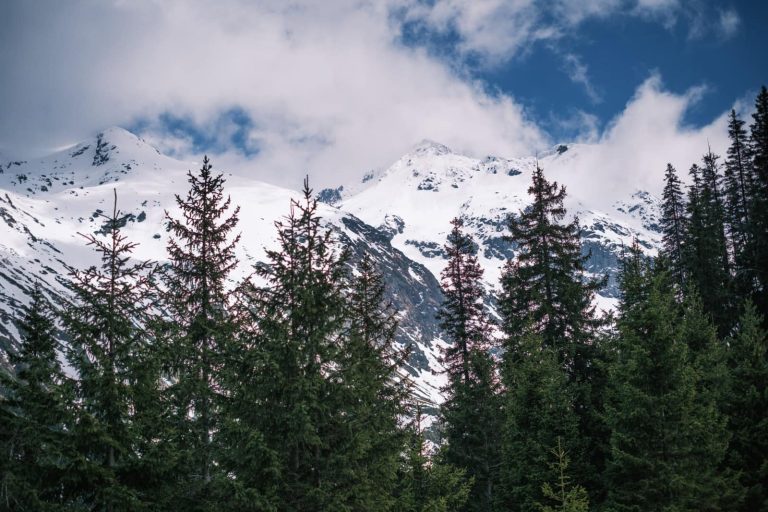 Cum va fi vremea până în 8 ianuarie