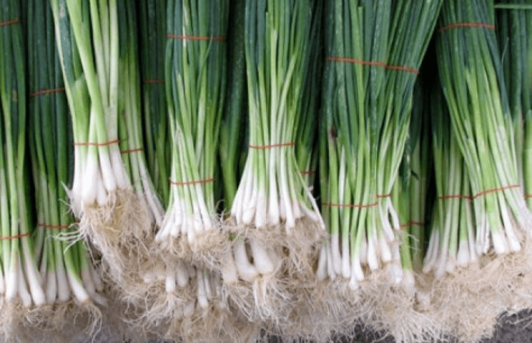 Reziduuri de pesticide peste limita maximă admisă, în 11 probe din mărar, spanac, ceapă verde şi pătrunjel