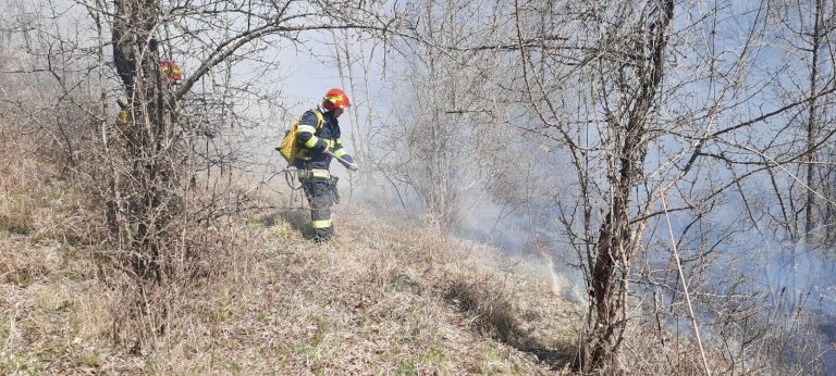 FOTO: 25 de hectare de vegetație uscată au ars în weekend