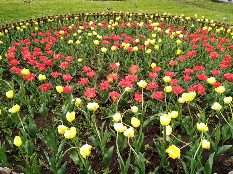 ANM a anunțat prognoza meteo pentru următoarele 4 săptămâni