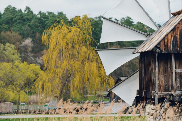 Refacerea trecutului: Conferințele ASTREI și workshop de restaurare – Ediția a VIII-a