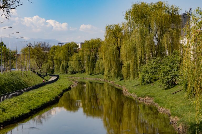 Unde ieșim mâine, 12 aprilie