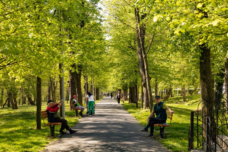 Sibiu 100% verde?
