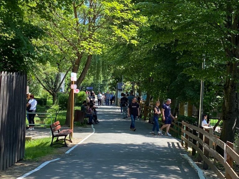 Gazela Oryx, masculul Uva, ursul brun Brunello și doi lupi albi, noile atracții la Zoo