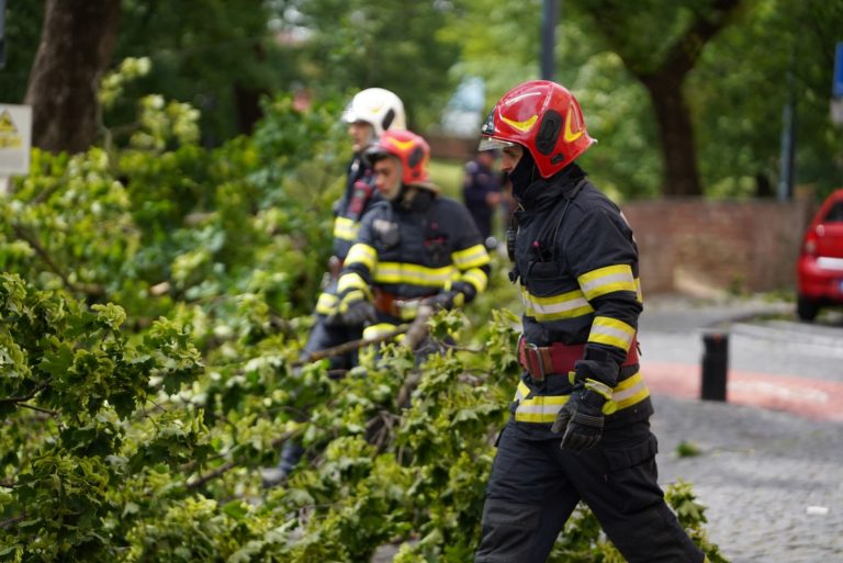 ULTIMA ORĂ: Subsoluri inundate și copaci doborâți în urma furtunii de joi din Mediaș și nordul județului Sibiu