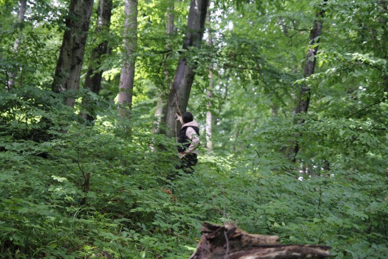 FOTO/VIDEO: Peste 100 de elevi au „Supraviețuit în Labirint”