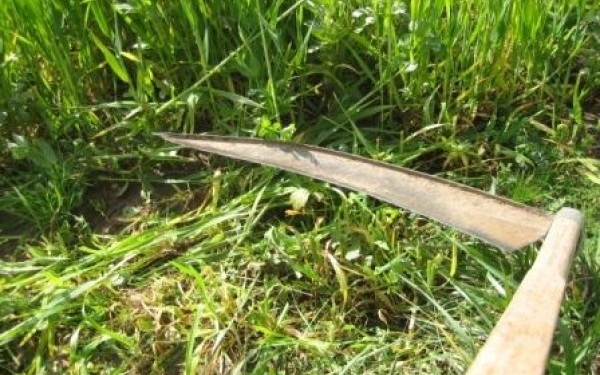 ULTIMA ORĂ: Tânărul bătut din Șeica Mare, în stare foarte gravă la Județean. A fost tăiat cu o coasă și are răni grave la abdomen și pancreas