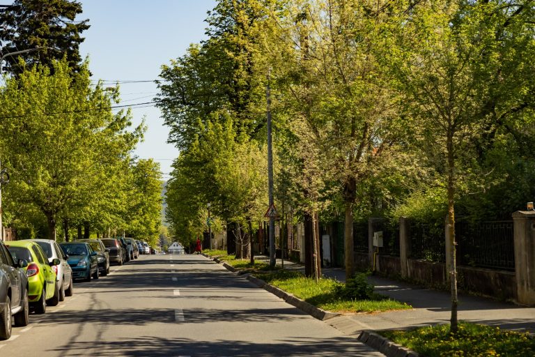 Vremea la extreme. Pregătiți hainele de primăvară la începutul lunii martie