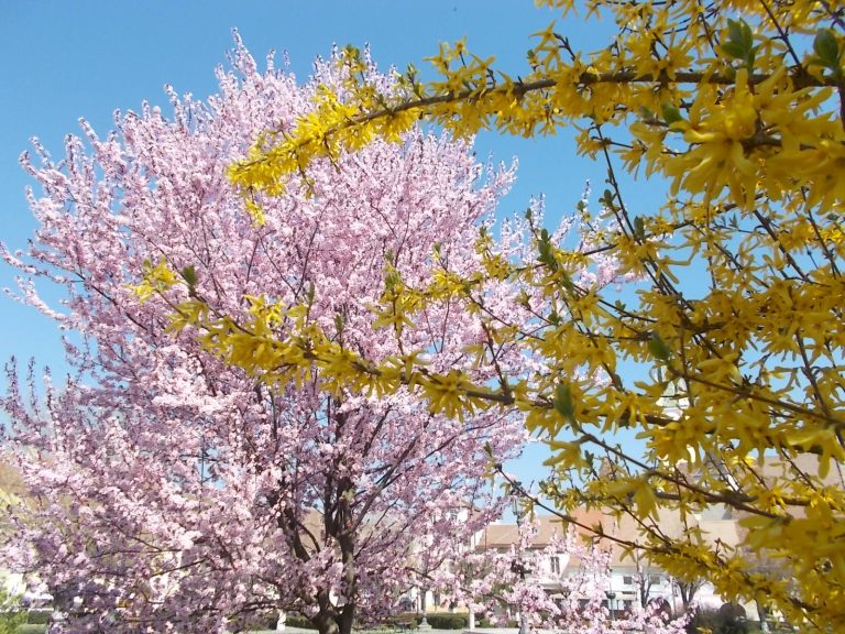 ALERTĂ METEO: Se strică vremea după Paști și va ploua în toată țara