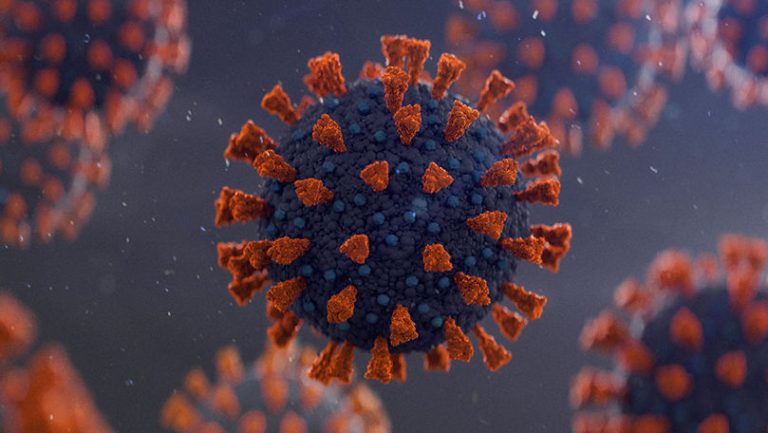 O boală tropicală a ajuns în Europa. Ce este „febra leneșului” și cum se manifestă