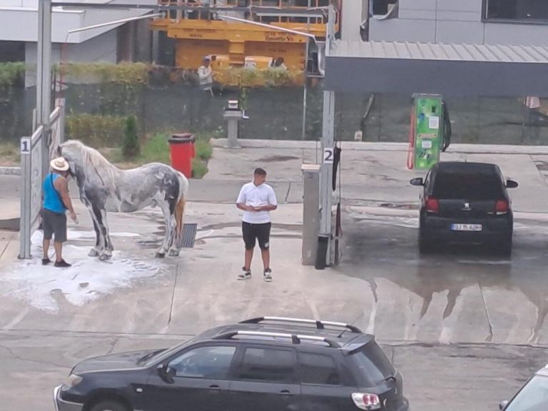 FOTO: Și-a curățat calul într-o spălătorie auto. Polițiștii i-au făcut dosar penal