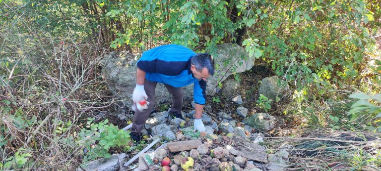 FOTO: 700 de voluntari au participat la campania „Let’s do it, Mediaș”