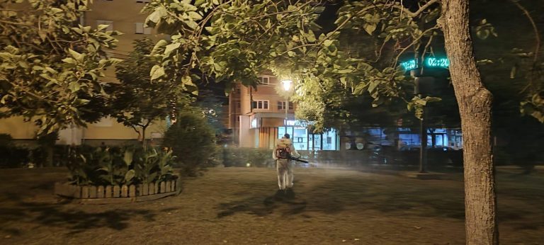 Acțiuni de deratizare și dezinsecție în Sibiu