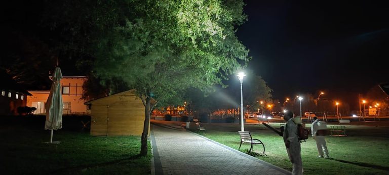 FOTO: Dezinsecție în parcurile, locurile de joacă și spațiile verzi din Mediaș