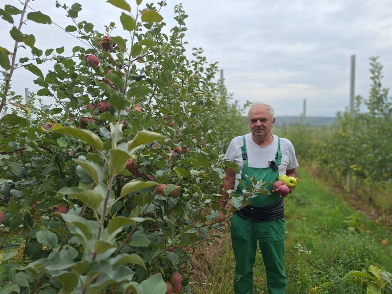 A dat Maramureșul pe Ardeal. Ioan Jula și liniștea din livada sa cu meri de la Cisnădie