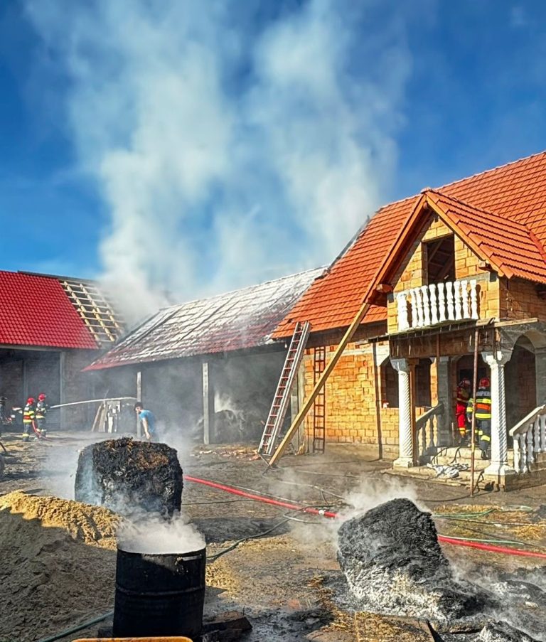 ULTIMA ORĂ/FOTO: Pagube uriașe în urma unui incendiu izbucnit la o anexă