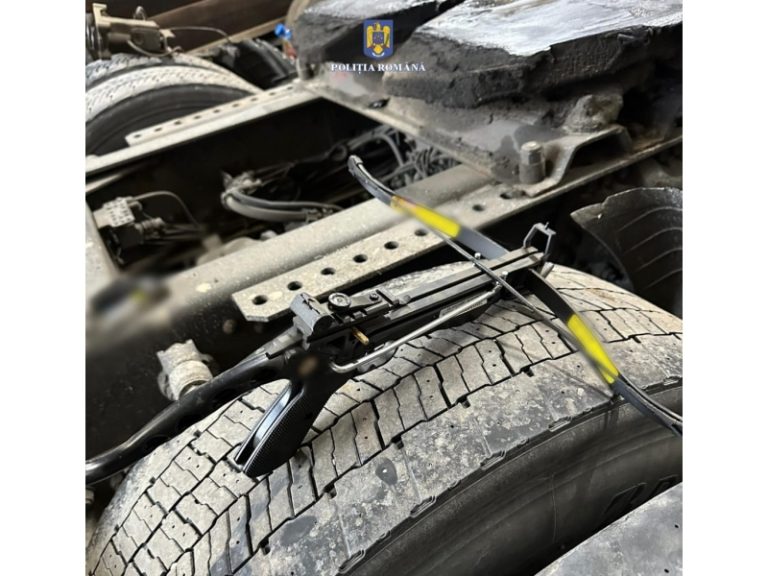 FOTO/VIDEO: Aproape 100 de percheziții în toată țara la proxeneți, evazioniști și tâlhari