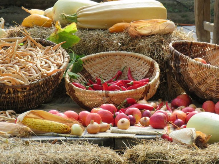 Sibienii sunt invitați la Sărbătoarea Recoltei 2024