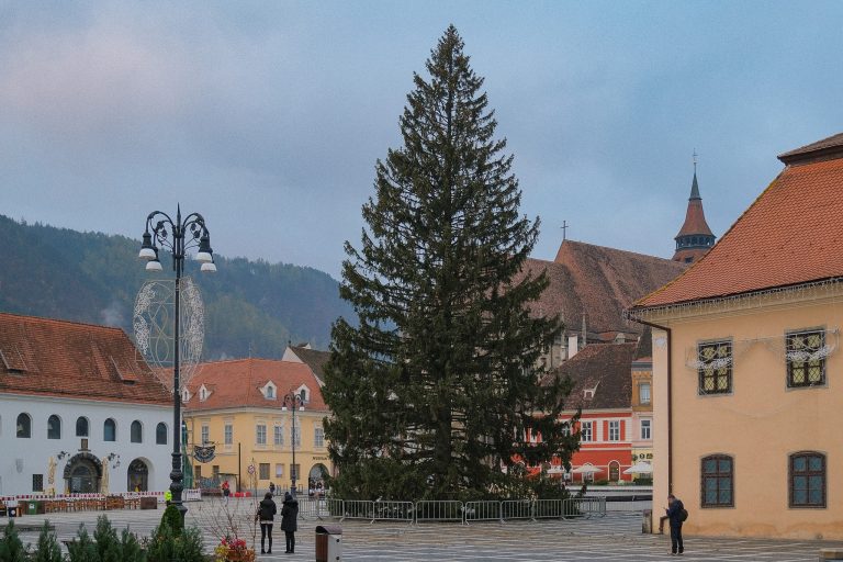 FOTO: Unde va fi împodobit cel mai înalt brad natural din România