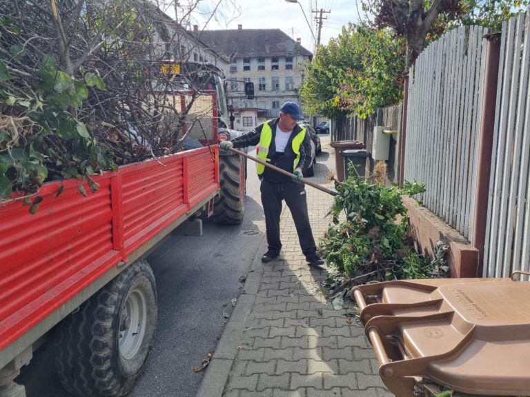 Două campanii de curățenie în 2026, la Mediaș