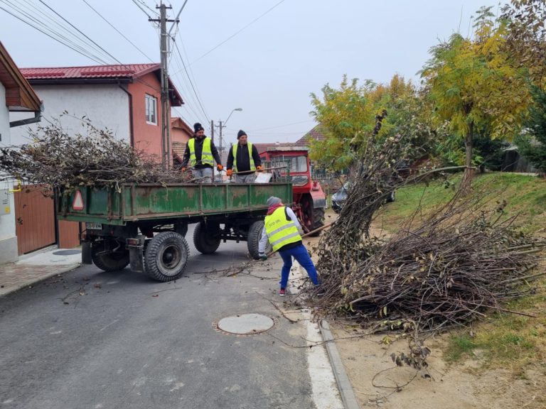 Două campanii de curățenie în 2025, la Mediaș