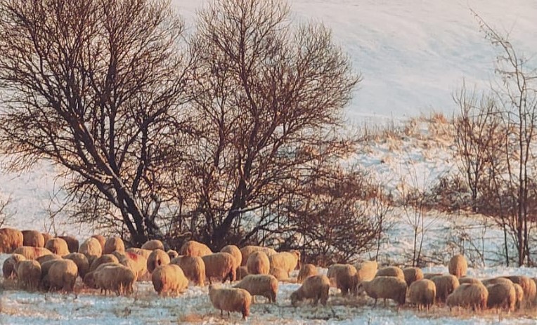 Cea de-a 25-a ediție a Salonului Internațional de Artă Fotografică, la Sibiu 