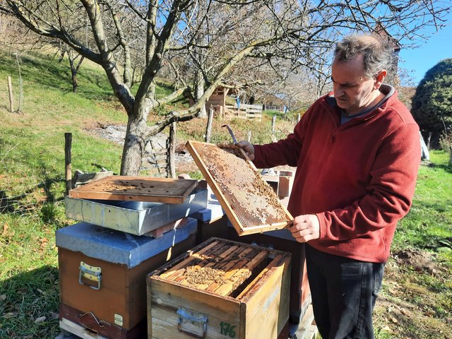 Cum să fii liber, făcând ceea ce îți place. O lecție de la apicultorul Wilhelm Tartler