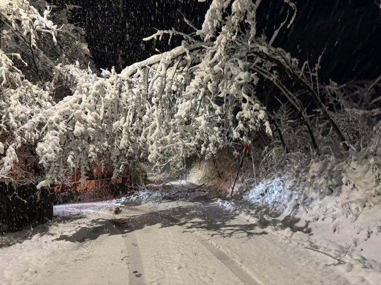 ALERTĂ EXTREMĂ: Cod Roșu de vânt în județul Sibiu. Viscol și intensificări de 140 de km/h