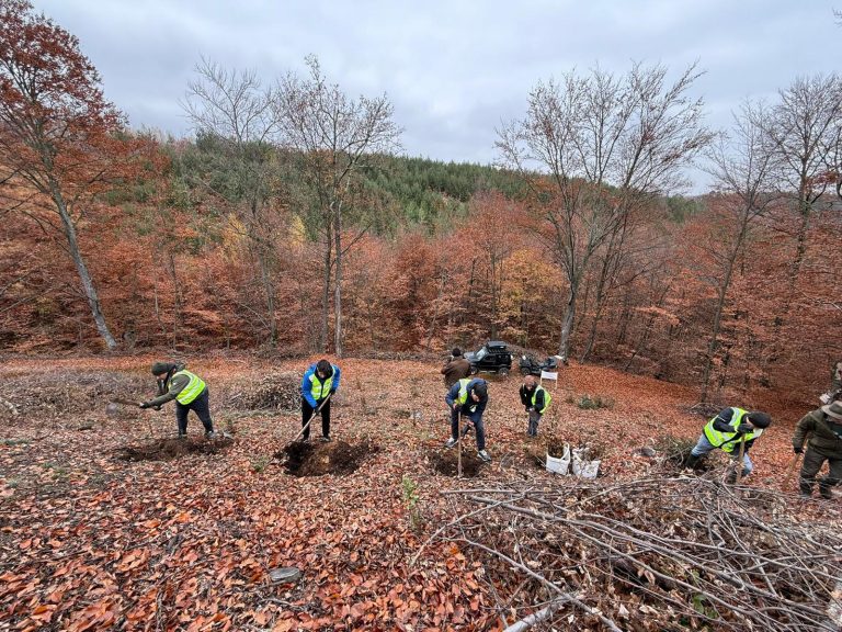 Talmabau plantează „Pădurea Viitorului”
