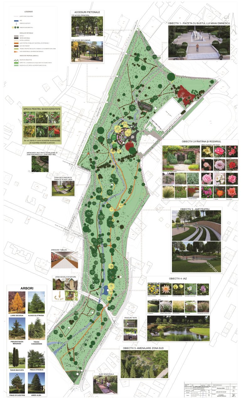 Cum va arăta Parcul Sub Arini: Primăria Sibiu face un pas înainte