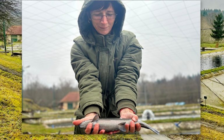 Păstrăvăria Laita, locul unde se găsește probabil cel mai bun păstrăv din România