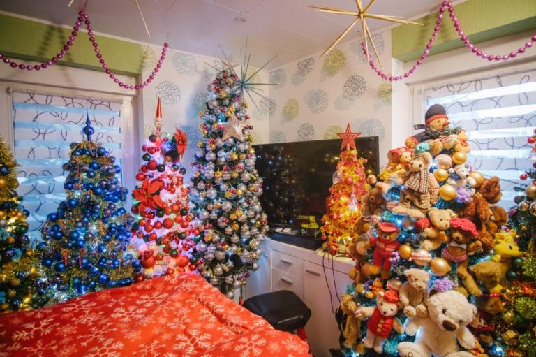 FOTO: O familie a împodobit 600 de brazi pentru Crăciun în locuință. Anul trecut au avut 555 de brazi