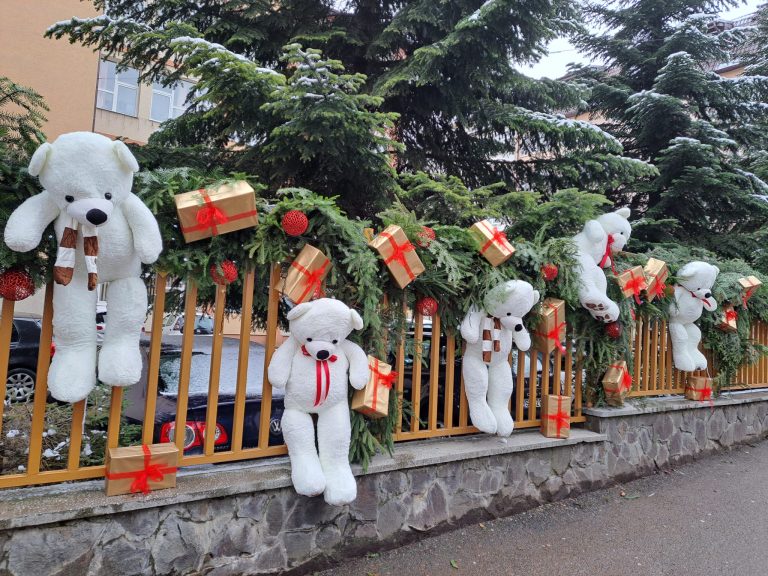 FOTO: Gardul unui liceu din România a devenit cel mai fotografiat obiectiv din oraș. Cum a fost împodobit pentru Crăciun