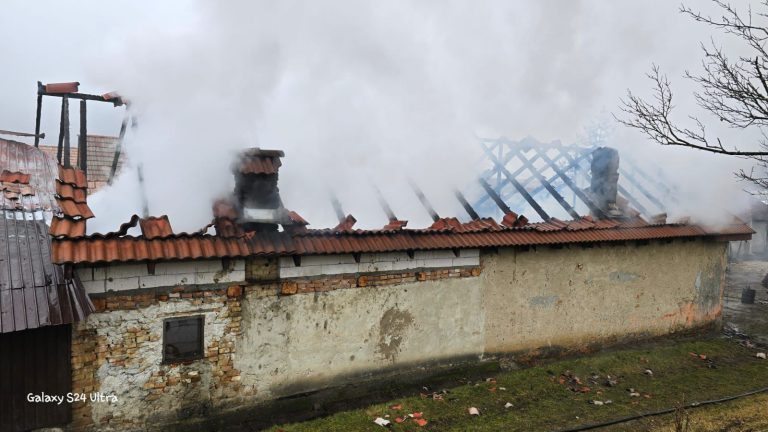 FOTO: Pagube uriașe din cauza unui incendiu pornit de la o afumătoare. Două femei au ajuns la spital
