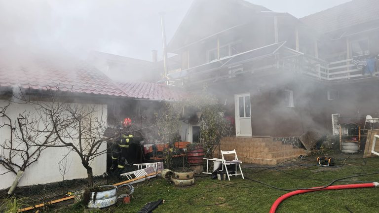 ULTIMA ORĂ/FOTO: Incendiu violent într-o anexă. Mai multe păsări și animale au fost salvate
