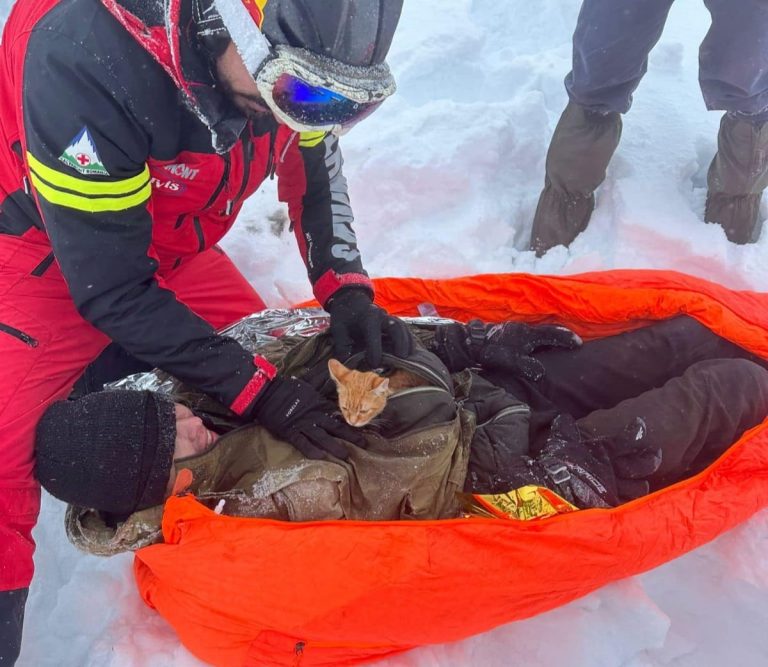FOTO: O pisicuță a ținut în viață un tânăr căzut într-o râpă pe munte. Bărbatul a fost recuperat de salvamontiști