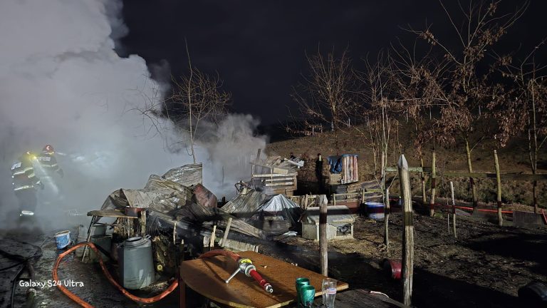 ULTIMA ORĂ/FOTO: Incendiu de proporții, luni seara. Mai multe anexe distruse, a ars și un ponei