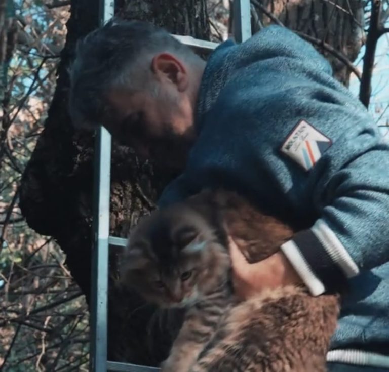 FOTO/VIDEO: Premierul Ciolacu e în pom. După pisică