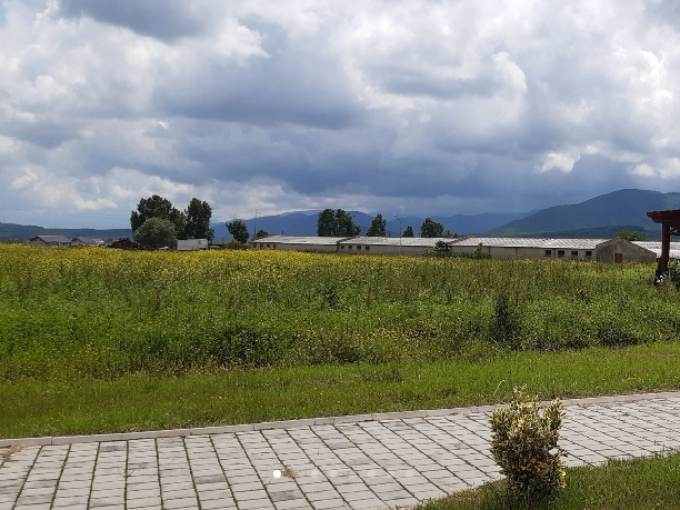 Proiect de construire a unui Centru de îngrijiri paliative în Săliște