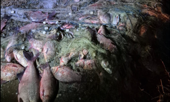 AJVPS Sibiu: Lupta continuă împotriva braconajului pe lacurile din județ