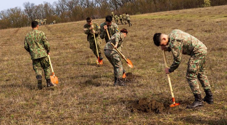 Copaci plantați de studenții Academiei Forțelor Terestre