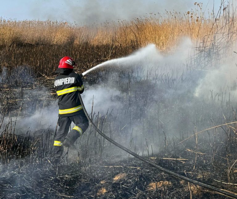 Prăpăd în România din cauza incendiilor de vegetație. Un om a murit, mii de hectare au fost distruse