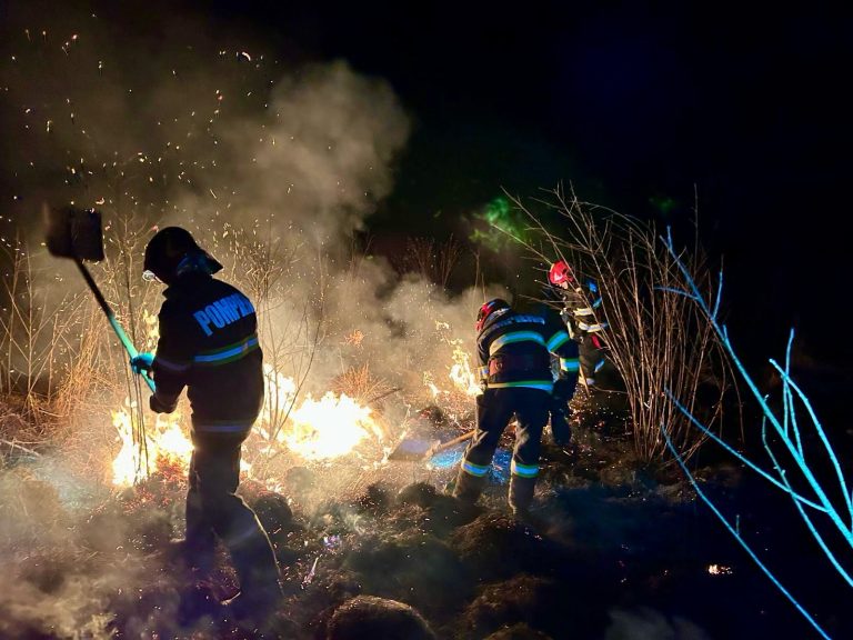 FOTO: 8 incendii de vegetație într-o singură zi în județul Sibiu