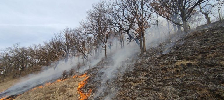 FOTO/VIDEO: Pompierii sibieni au stins 21 de incendii de vegetație în ultimele 24 de ore. Sute de hectare de teren afectate