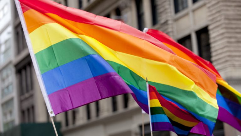 Marșul anual LGBT Pride a fost interzis în Ungaria