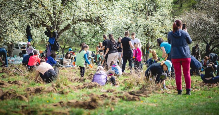 Campania de împădurire „SCHWARZ Plantează 2025” în Cisnădie