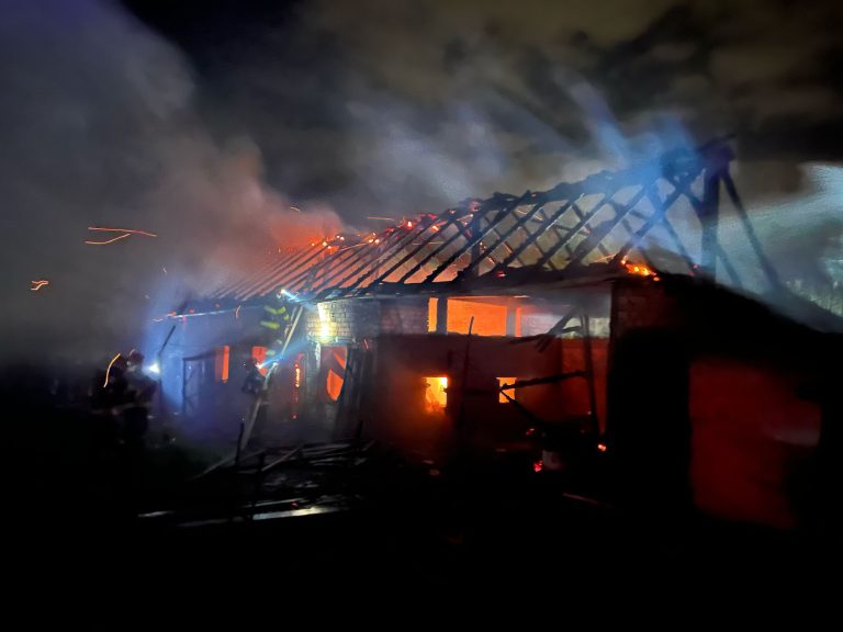 ULTIMA ORĂ/FOTO: Incendiu puternic la o anexă. UPDATE/ Zeci de păsări au ars, anexa a fost distrusă