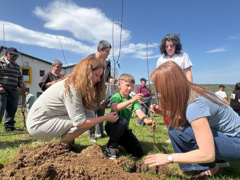 FOTO: Livadă amenajată de beneficiarii din centrele de îngrijire ale DGASPC Sibiu din Cisnădie