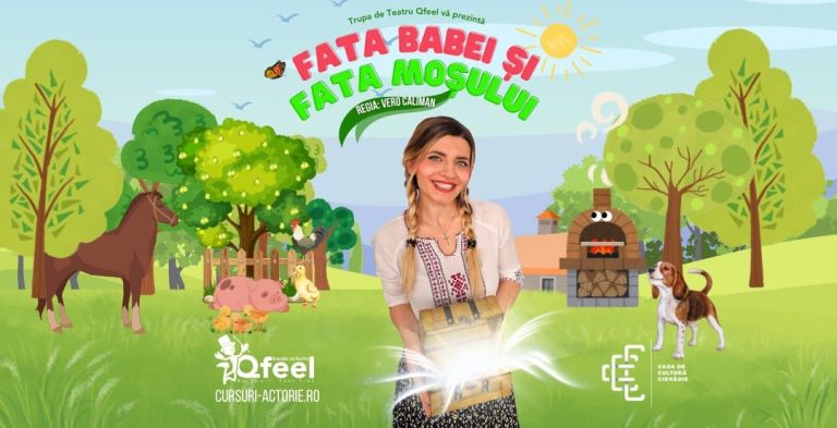 Spectacol caritabil pentru Darius